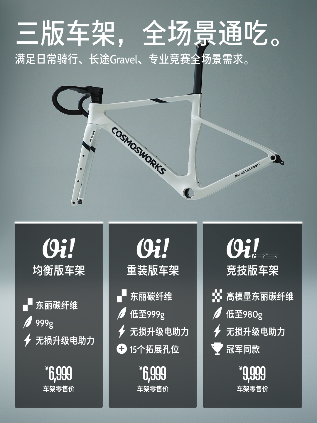 Oi 碳纤维自行车产品图 3